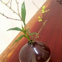 闻天 报名时间：2019-07-09 14:47